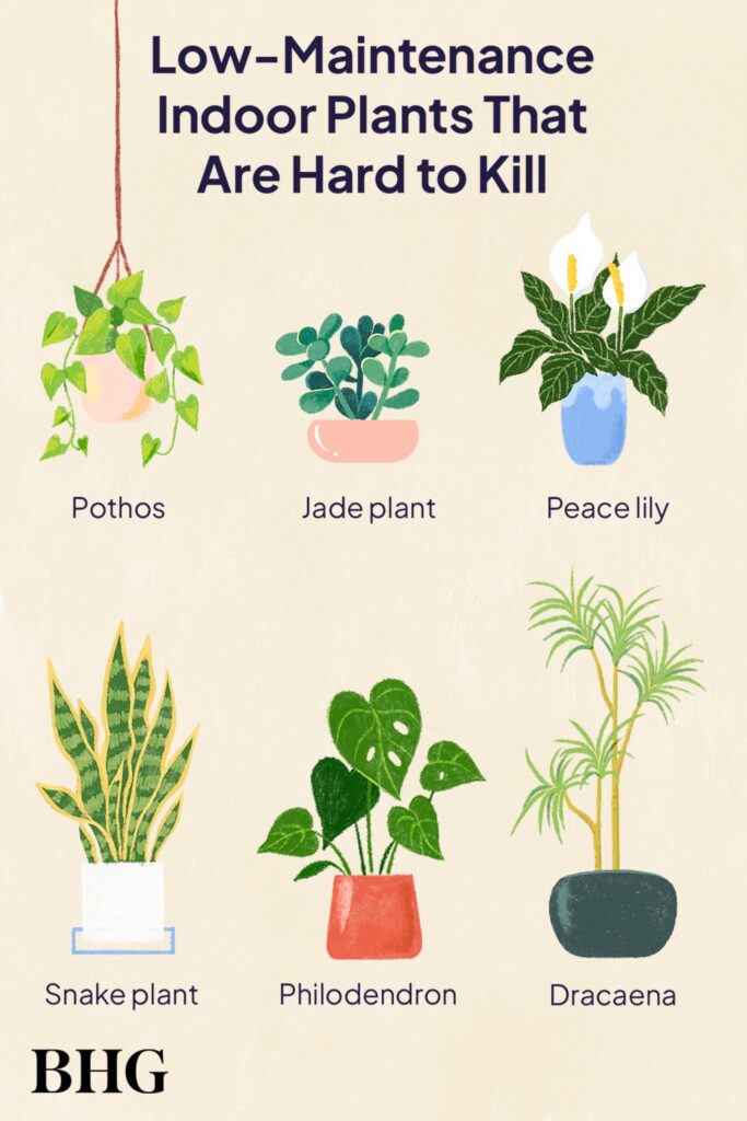 10 Unbelievably Easy Indoor Plants That Survive on Neglect