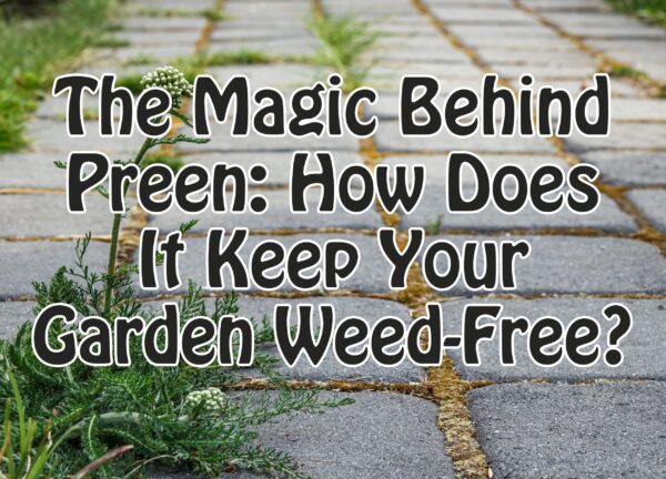The Magic Behind Preen: How Does It Keep Your Garden Weed-Free?