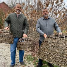 Unlocking the Potential of Pussy Willow Branches: Creative and Practical Uses You&#8217;ll Love