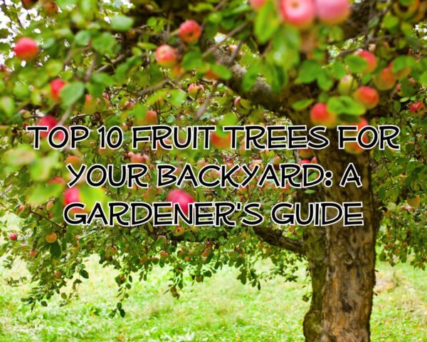 Top 10 Fruit Trees for Your Backyard: A Gardener&#8217;s Guide