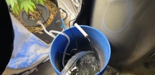 DIY Indoor Auto Watering System: Easy and Affordable Solution for All Indoor Plants
