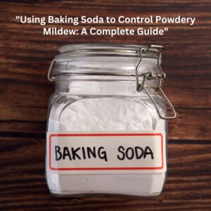 BAKING SODA: THE NATURAL REMEDY FOR POWDERY MILDEW