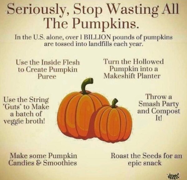 The Great Pumpkin Waste: How to Use Them, Not Lose Them