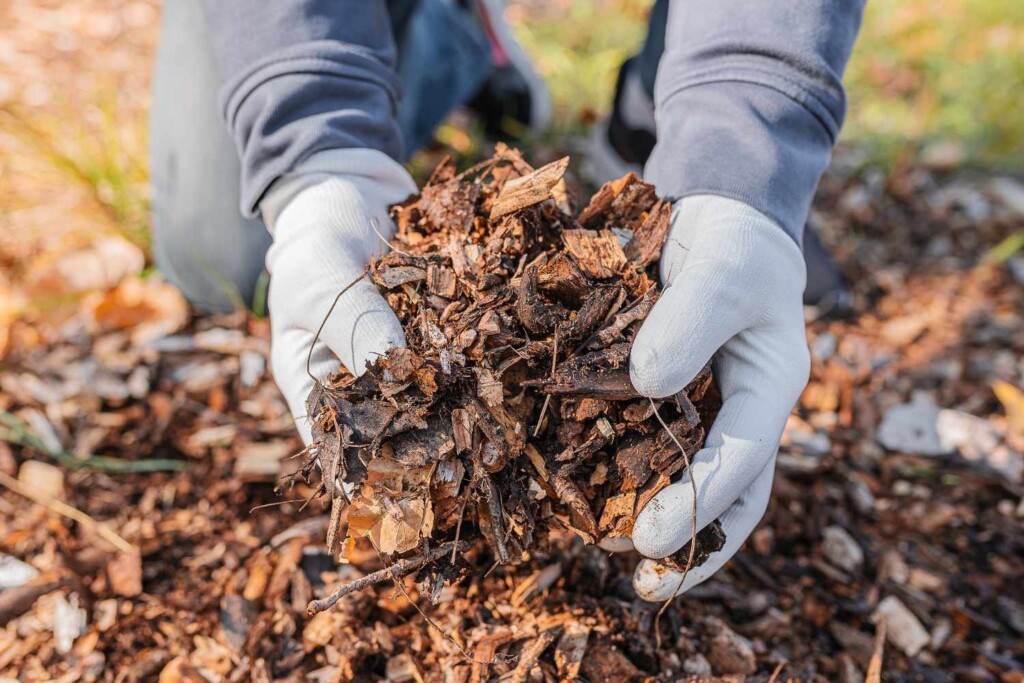 Embrace the Power of Leaves: Transform Your Garden with Sustainable Mulching