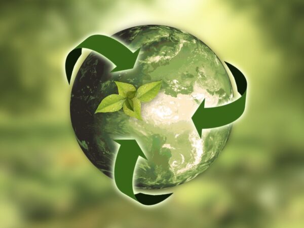Sustainability: Embracing the Three Pillars for a Greener Future