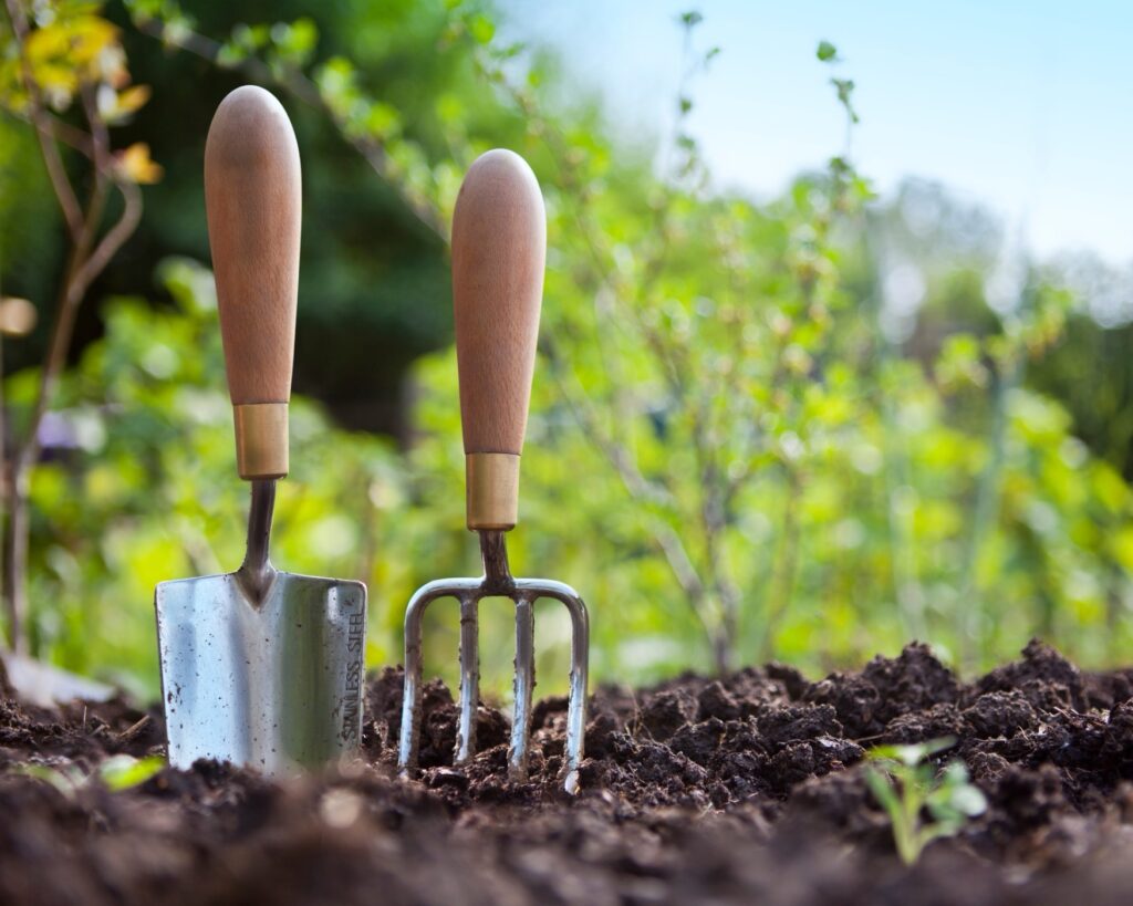 Garden tools in garden 