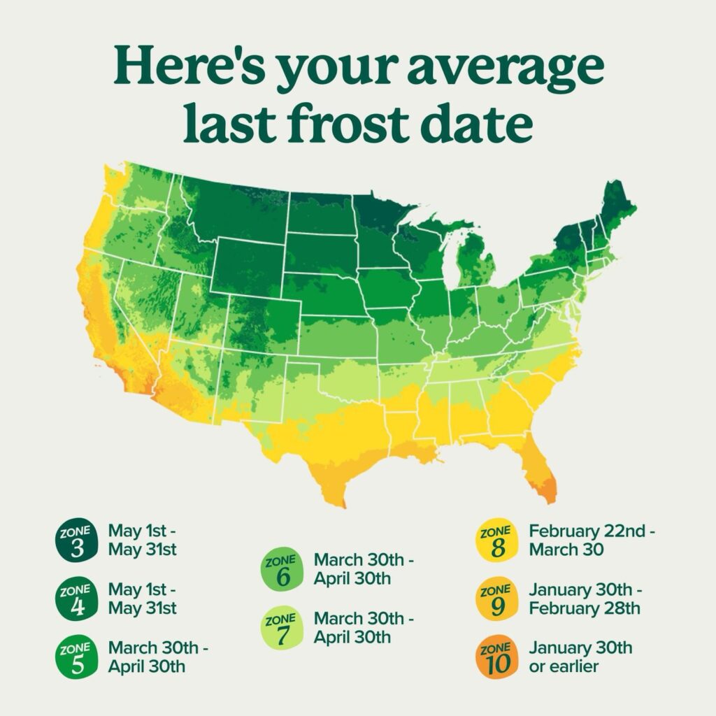 Last average frost date 