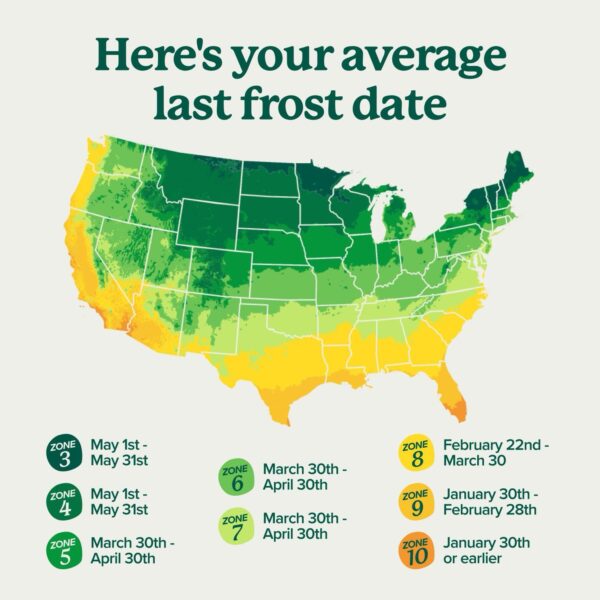 Frost-Free Gardening: Mastering Last Frost Dates Across Zones