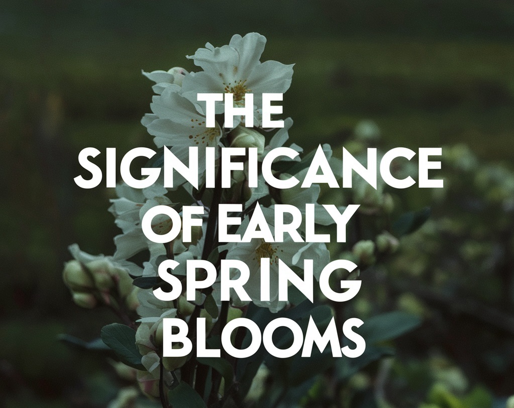 The Significance of Early Spring Blooms